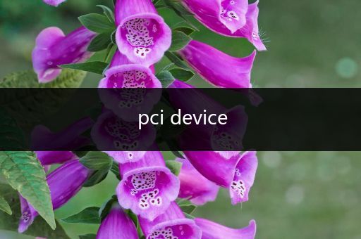 pci device