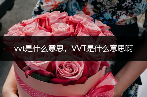 vvt是什么意思，VVT是什么意思啊