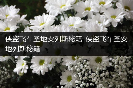 侠盗飞车圣地安列斯秘籍_侠盗飞车圣安地列斯秘籍