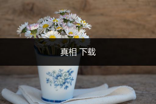 真相 下载