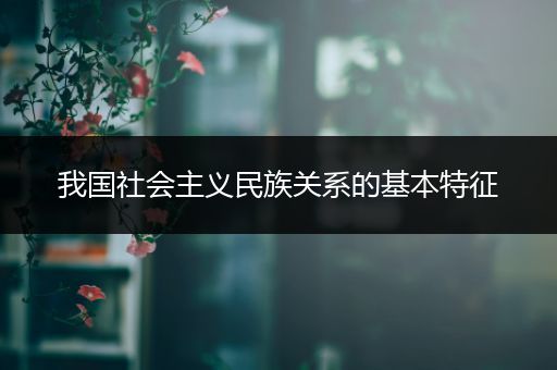 我国社会主义民族关系的基本特征