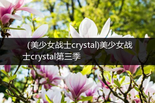 （美少女战士crystal)美少女战士crystal第三季