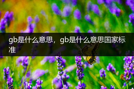 gb是什么意思，gb是什么意思国家标准