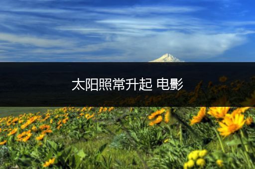 太阳照常升起 电影