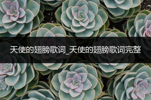 天使的翅膀歌词_天使的翅膀歌词完整