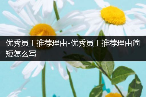 优秀员工推荐理由-优秀员工推荐理由简短怎么写