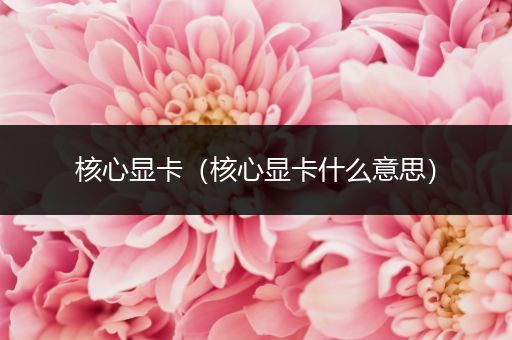 核心显卡（核心显卡什么意思）