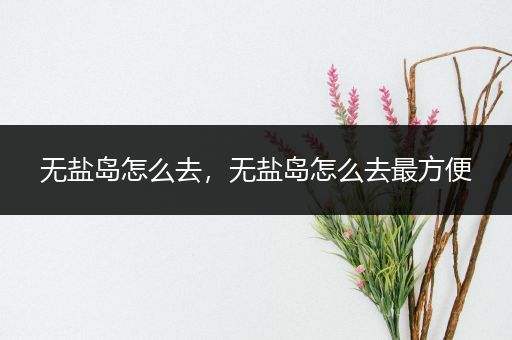 无盐岛怎么去，无盐岛怎么去最方便