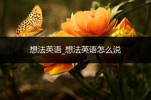 想法英语_想法英语怎么说