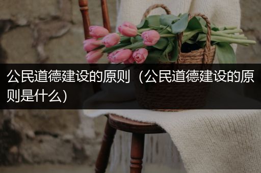 公民道德建设的原则（公民道德建设的原则是什么）