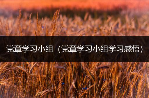 党章学习小组（党章学习小组学习感悟）