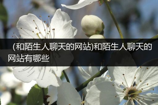 （和陌生人聊天的网站)和陌生人聊天的网站有哪些