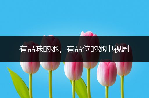 有品味的她，有品位的她电视剧