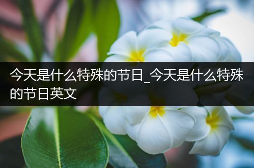 今天是什么特殊的节日_今天是什么特殊的节日英文