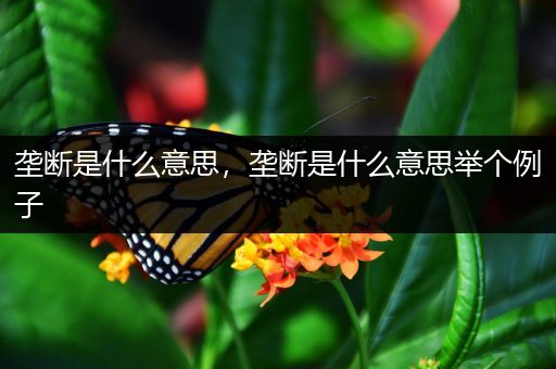 垄断是什么意思，垄断是什么意思举个例子