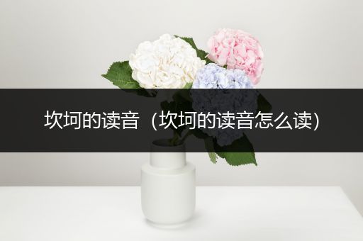 坎坷的读音（坎坷的读音怎么读）