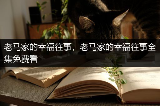 老马家的幸福往事，老马家的幸福往事全集免费看