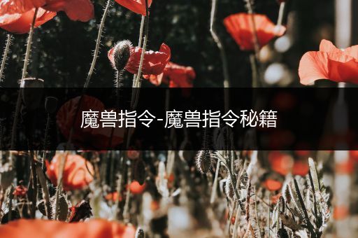 魔兽指令-魔兽指令秘籍