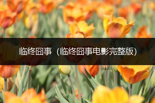 临终囧事（临终囧事电影完整版）