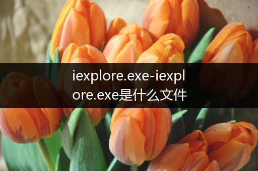 iexplore.exe-iexplore.exe是什么文件