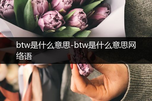 btw是什么意思-btw是什么意思网络语