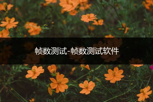帧数测试-帧数测试软件