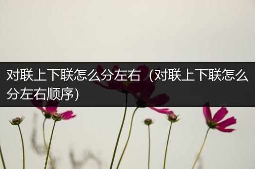 对联上下联怎么分左右（对联上下联怎么分左右顺序）