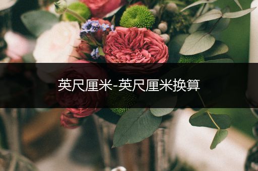英尺厘米-英尺厘米换算