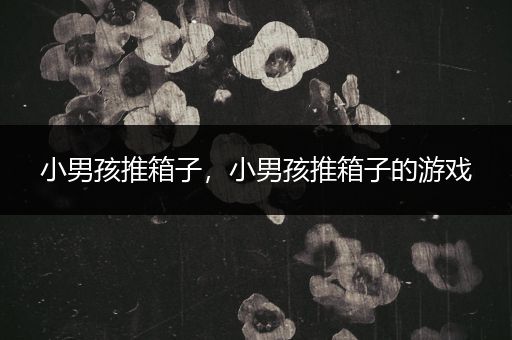 小男孩推箱子，小男孩推箱子的游戏