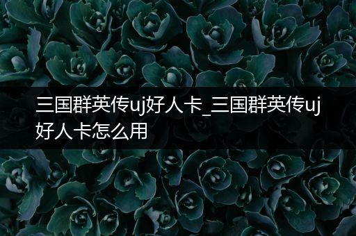 三国群英传uj好人卡_三国群英传uj好人卡怎么用