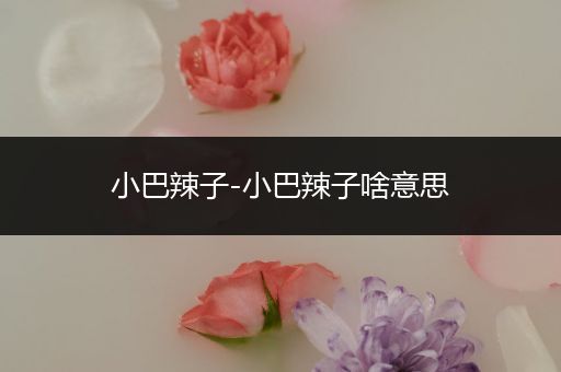 小巴辣子-小巴辣子啥意思