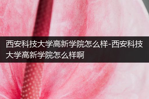 西安科技大学高新学院怎么样-西安科技大学高新学院怎么样啊