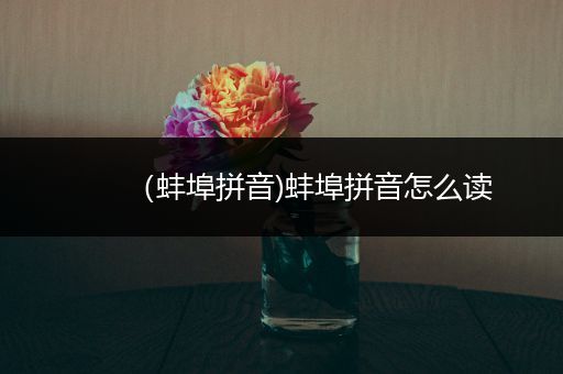 （蚌埠拼音)蚌埠拼音怎么读