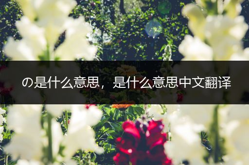 の是什么意思，是什么意思中文翻译