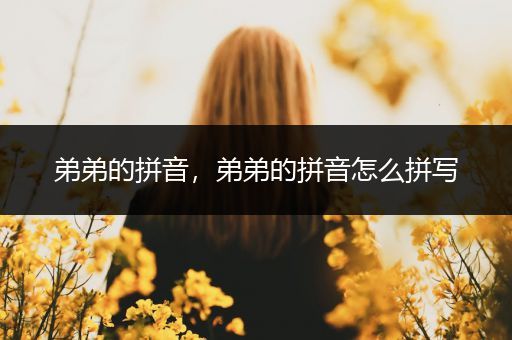 弟弟的拼音，弟弟的拼音怎么拼写