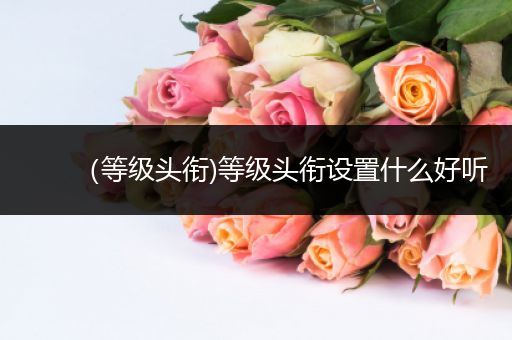 （等级头衔)等级头衔设置什么好听