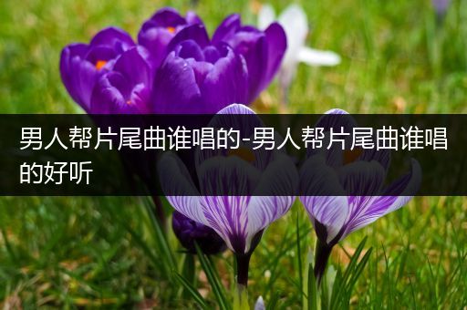 男人帮片尾曲谁唱的-男人帮片尾曲谁唱的好听