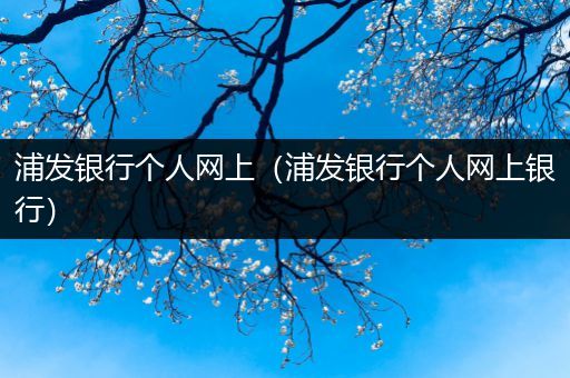 浦发银行个人网上（浦发银行个人网上银行）