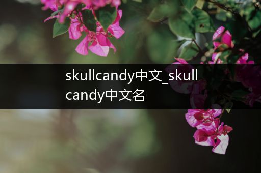 skullcandy中文_skullcandy中文名