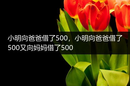 小明向爸爸借了500，小明向爸爸借了500又向妈妈借了500