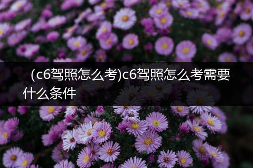 （c6驾照怎么考)c6驾照怎么考需要什么条件