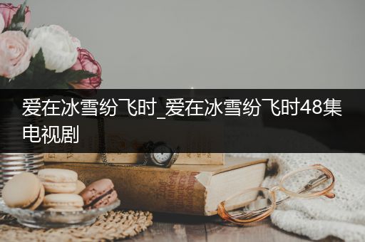 爱在冰雪纷飞时_爱在冰雪纷飞时48集电视剧