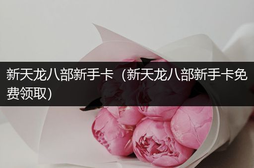 新天龙八部新手卡（新天龙八部新手卡免费领取）