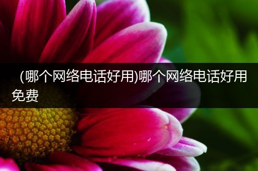 （哪个网络电话好用)哪个网络电话好用免费