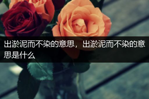 出淤泥而不染的意思，出淤泥而不染的意思是什么