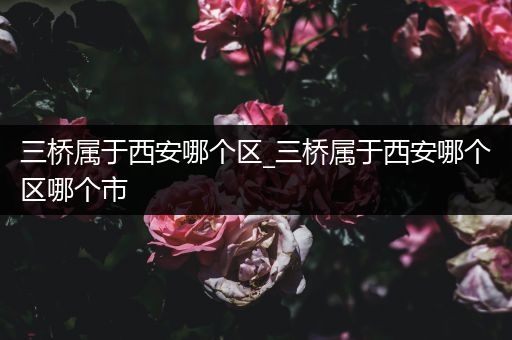 三桥属于西安哪个区_三桥属于西安哪个区哪个市