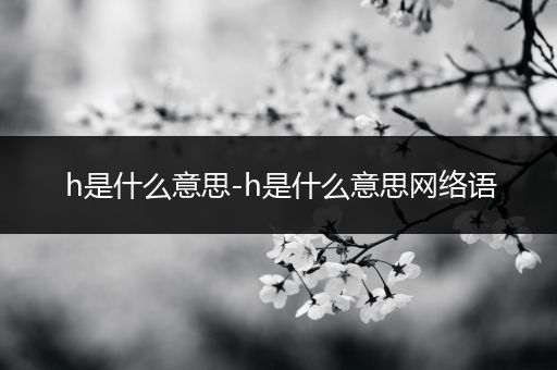 h是什么意思-h是什么意思网络语