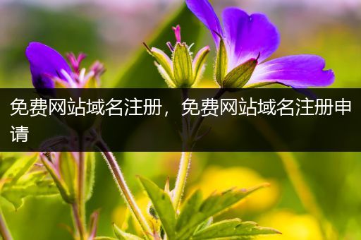 免费网站域名注册,免费网站域名注册申请