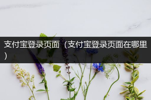 支付宝登录页面（支付宝登录页面在哪里）