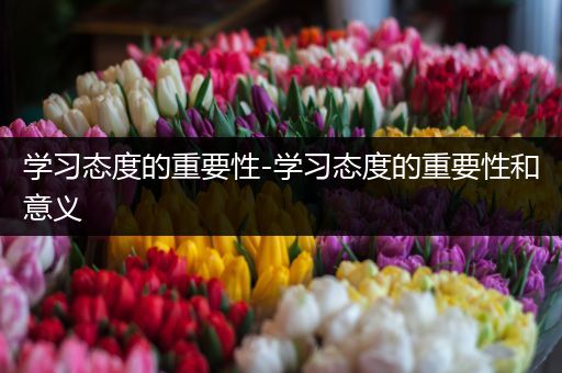 学习态度的重要性-学习态度的重要性和意义